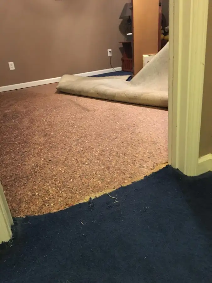 Carpet pad removal revealing water damage during Water Mitigation Services in Dartmouth