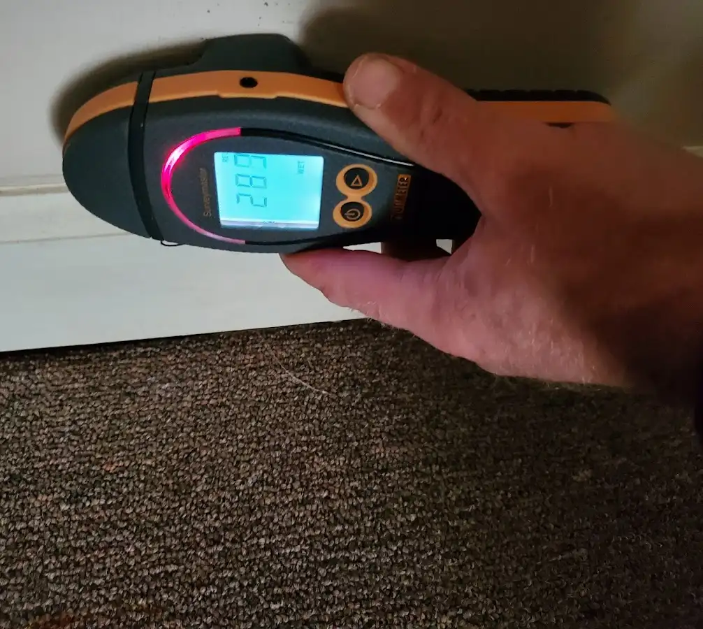 Moisture detection at baseboard during Sewage Cleanup & Sanitation in Dartmouth